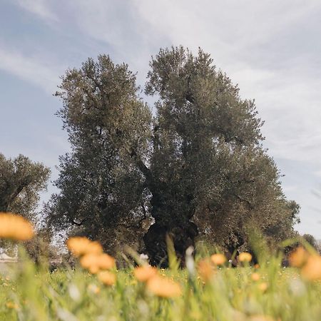 Masseria San Lorenzo Resort Fasano Eksteriør billede