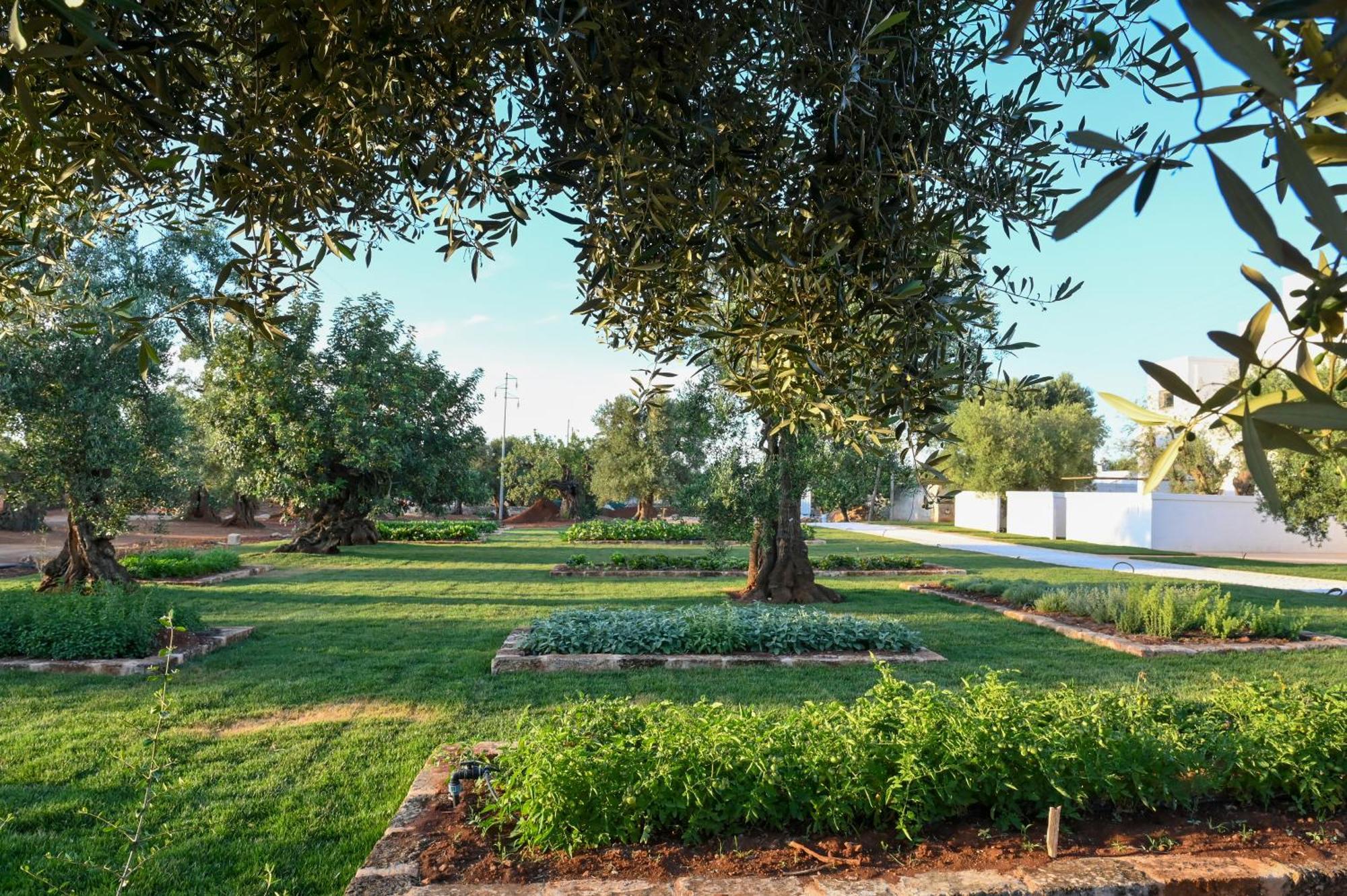 Masseria San Lorenzo Resort Fasano Eksteriør billede